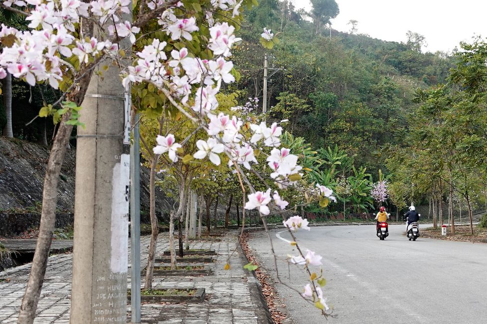 tin bài Lễ hội Hoa Ban Điện Biên